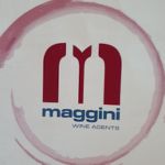 Agenzia Maggini